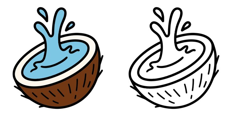 Vector coloring book of a coconut cracked open with juice on white background outline vector illustration
