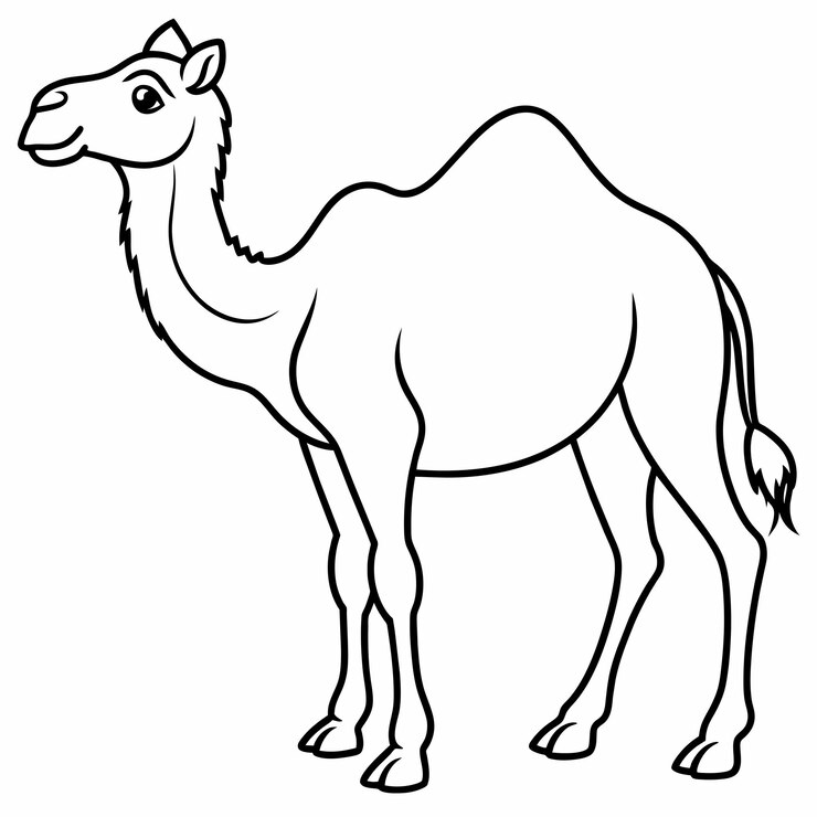 Vector coloring book cute camel with outline stroke