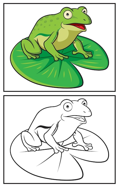 Vector coloring book cute frog. coloring page and colorful clipart character. vector cartoon illustration.