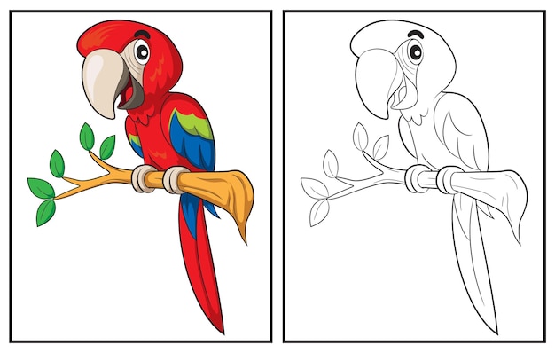 Книжка-раскраска милый попугай. Раскраска и красочный клипарт. Векторная карикатура