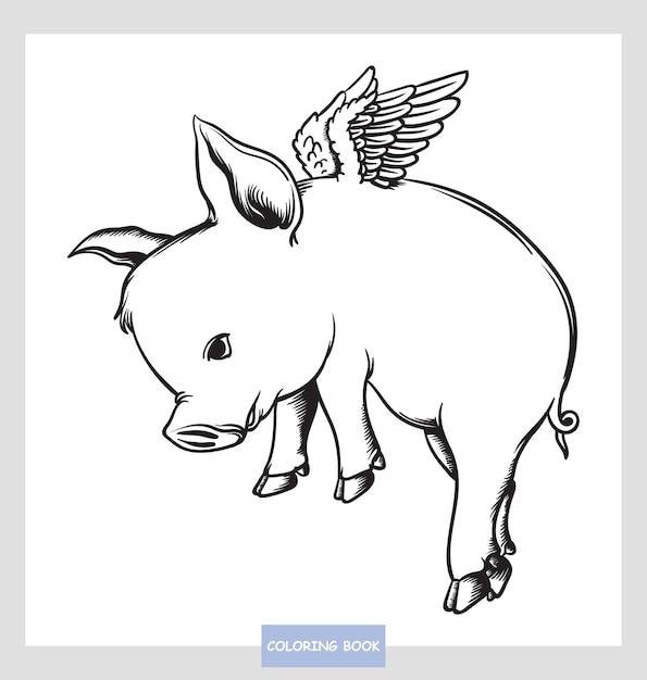 Coloring book cute pig flying cartoon vector illustration