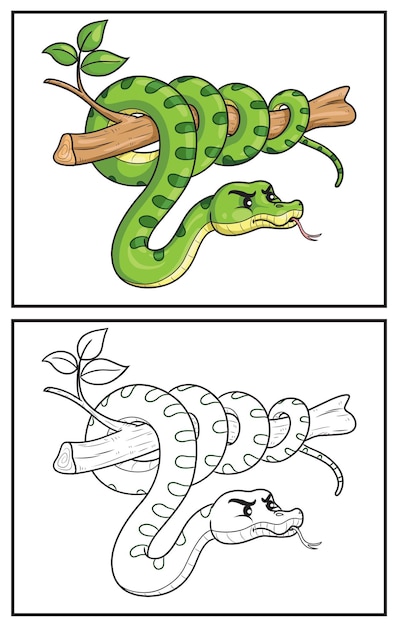 Книжка-раскраска милая змея Раскраска страницы и красочный клипарт Персонаж Векторная иллюстрация мультфильма