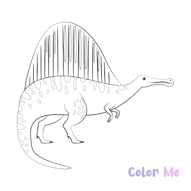 Vector coloring book dinosaurs species black white handdrawn sketch