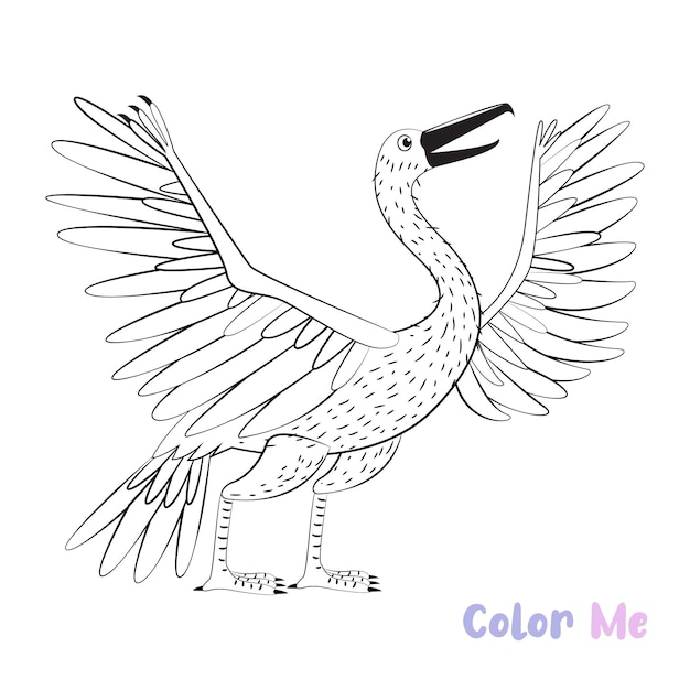 Vector coloring book dinosaurs species black white handdrawn sketch