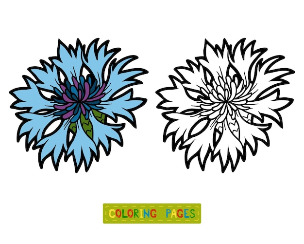 어린이를 위한 색칠하기 책, 꽃 수레 국화