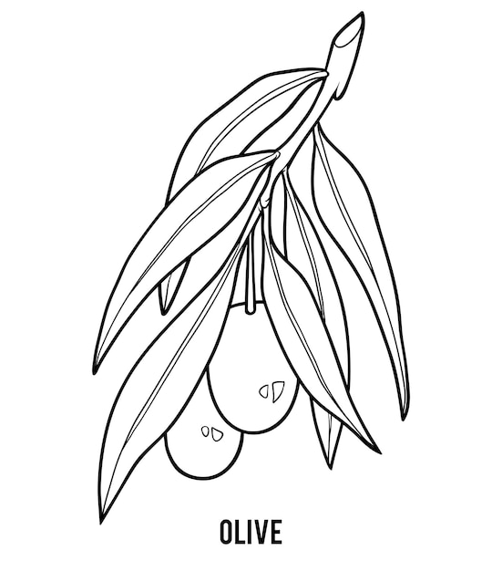 Книжка-раскраска для детей, ветка оливкового дерева