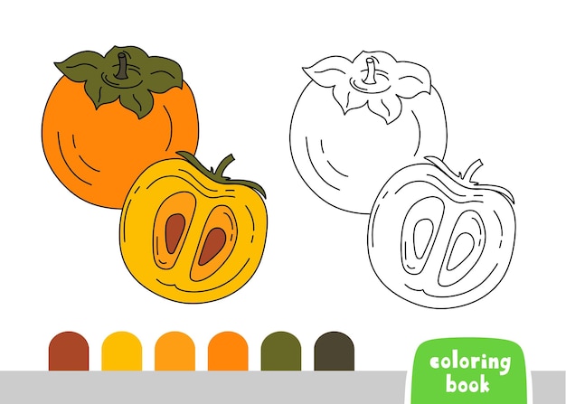 Coloring Book for Kids Persimmon Page voor boeken Tijdschriften Coloring Vector