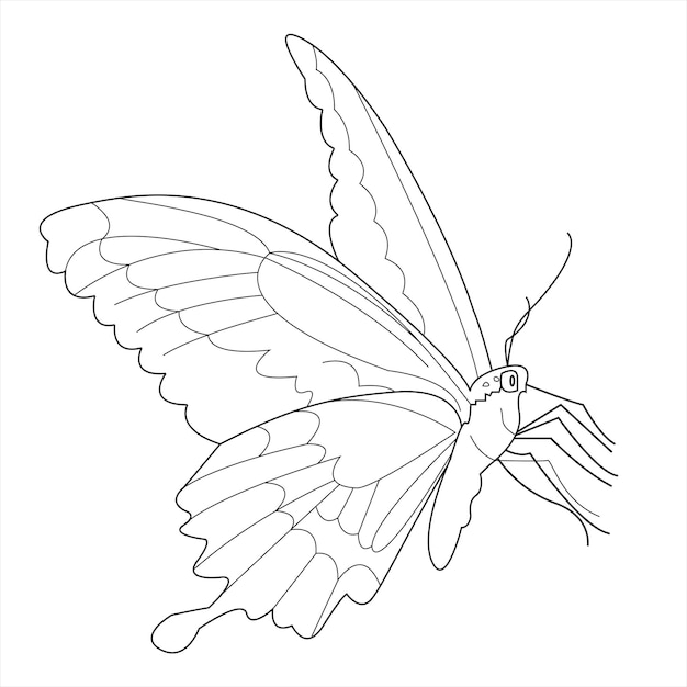 Coloring book Hand drawn Black and white Adults children butterfly