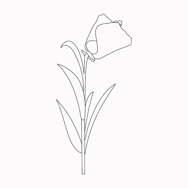 Coloring book Hand drawn Black and white children Flowers