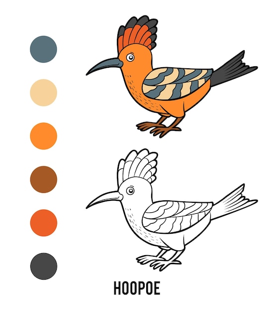 Coloring book Hoopoe