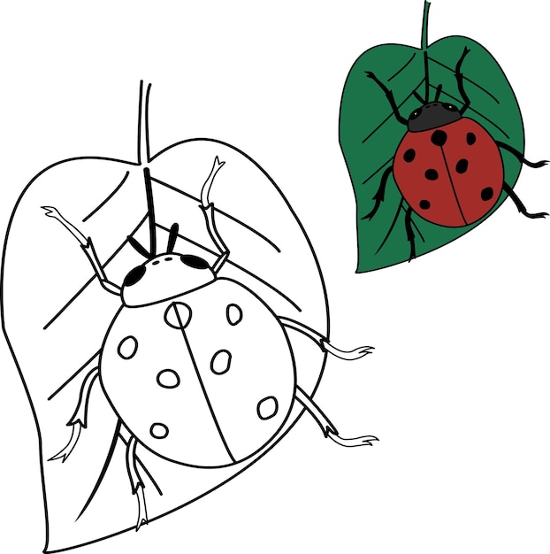 Coloring book for kids ladybug on a sheet