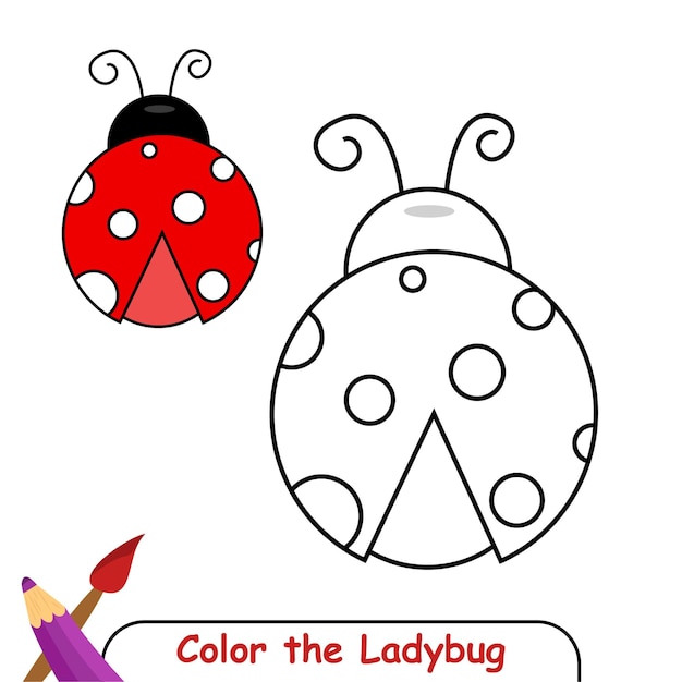 Coloring book for kids, Ladybug Vector Graphics