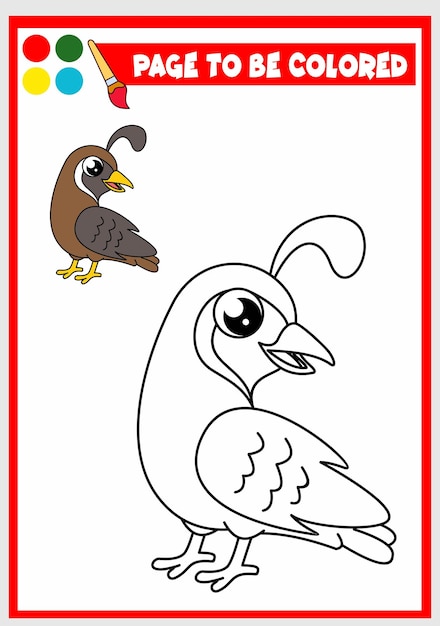 Coloring book for kids quail