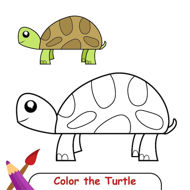 Vector coloring book for kids, turtle vector graphics