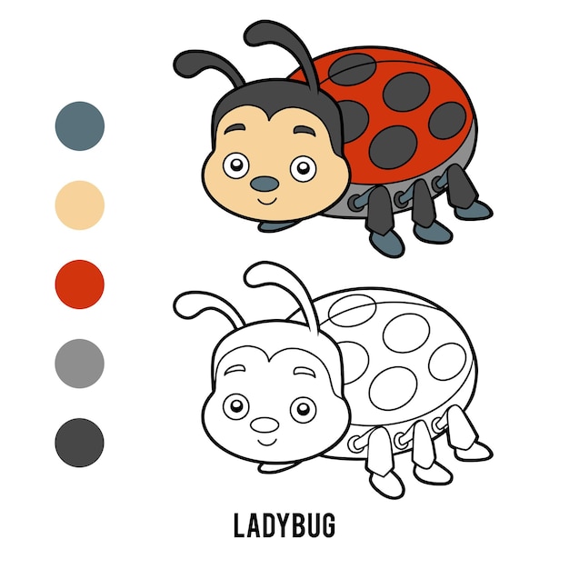 Coloring book Ladybug