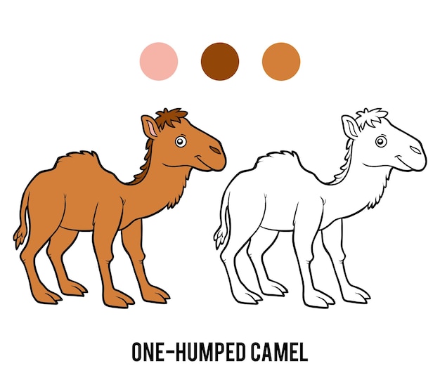 Coloring book Onehumped camel