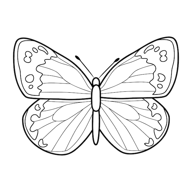 Vector coloring book or page for kids. butterfly black and white vector