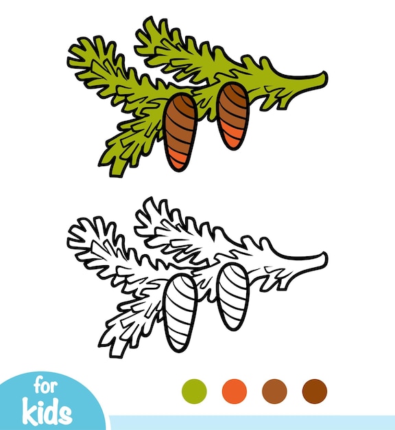 Libro da colorare ramo di pino con coni