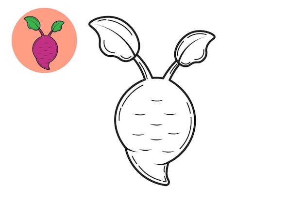 Vector coloring book radish