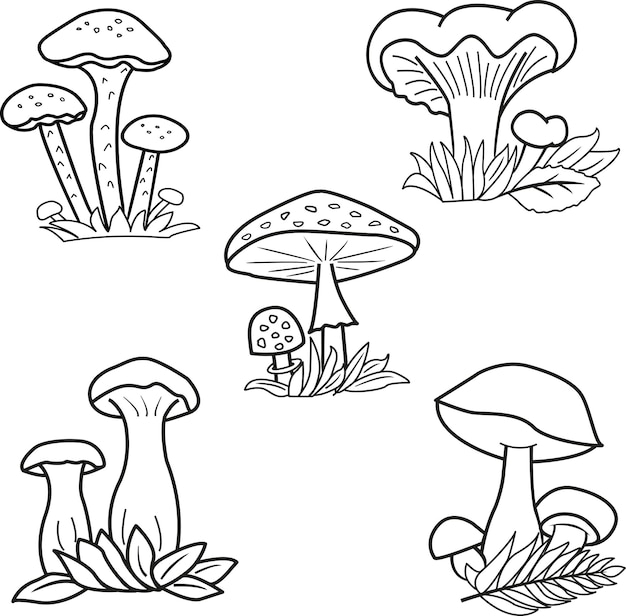 Coloring book. Set of vector mushrooms. Cartoon illustrations of forest mushrooms