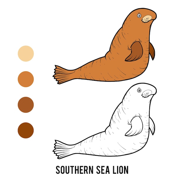 Coloring book southern sea lion