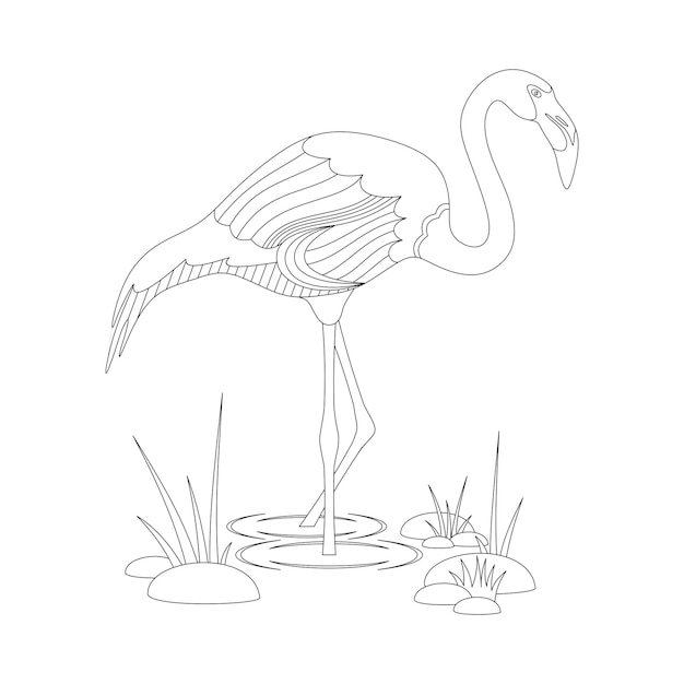 Vector coloring book with flamingos on a white background