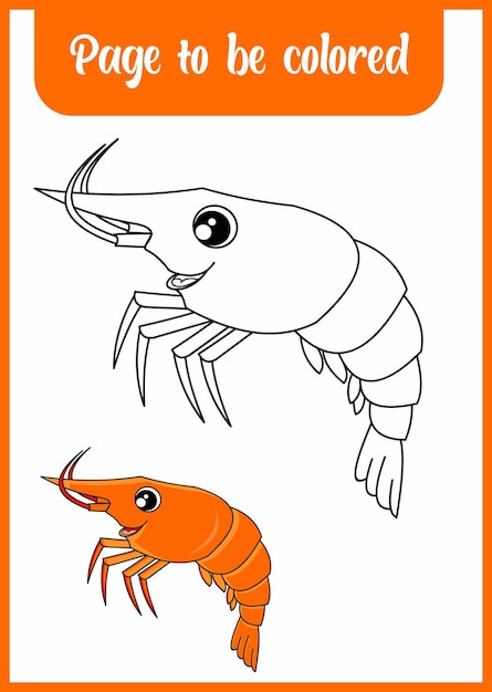 Vector coloring the cute shrimp for kids