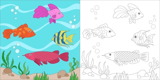 Coloring freshwater fish