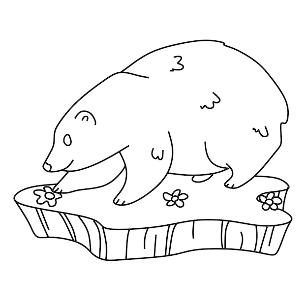 Pagina da colorare alfabeti animale cartone animato orso