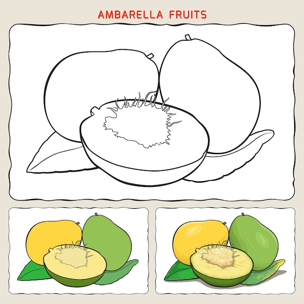 Pagina da colorare di frutti di ambarella con due campioni da colorare. colorazione piatta e colorazione delle ombre