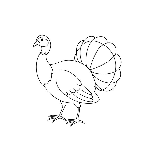 Vector coloring page of beautiful turkey bird line art