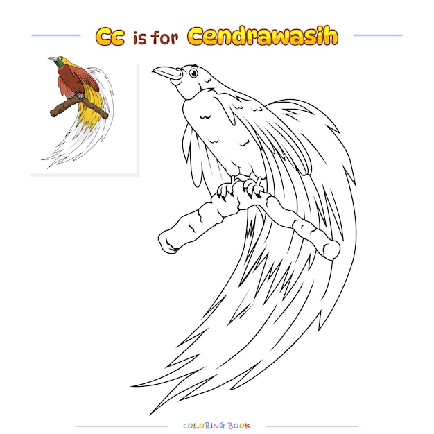 Coloring Page Cendrawasih bird cartoon