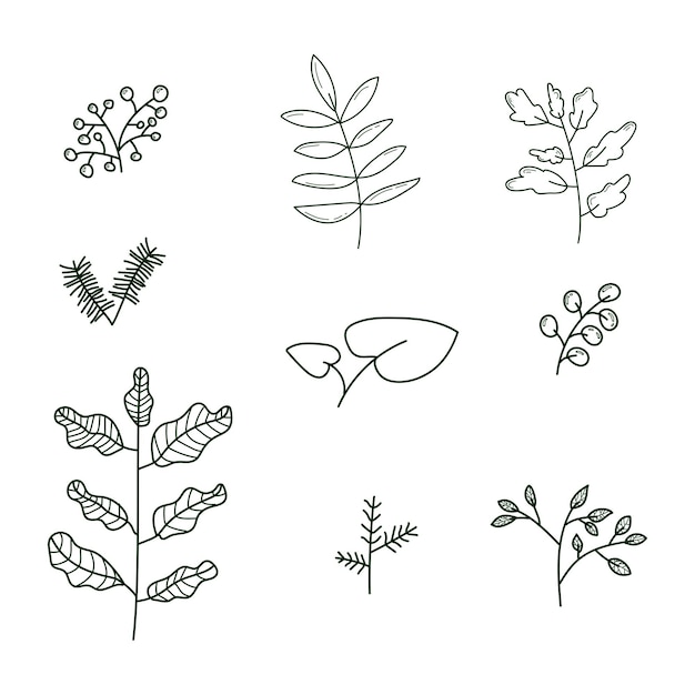 Coloring page floras elements