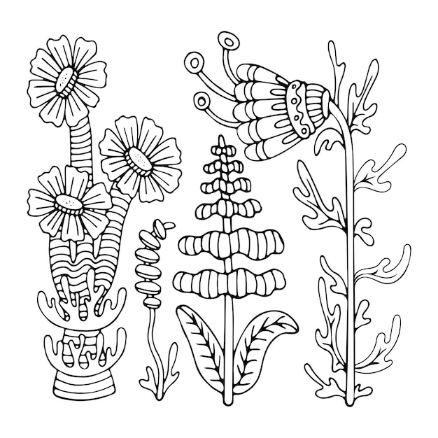 Coloring page flowers line art Fairy garden plants hand drawn doodle illustration