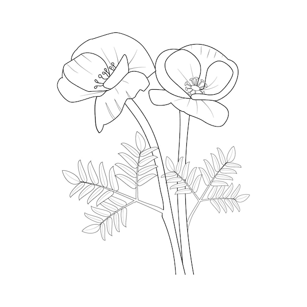 Coloring page hand drawn flower poppy of vector illustration on white background ink art