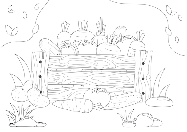 Coloring page for kids.  Set of vegetables in the wooden box. Printable coloring pages. Layout in A4