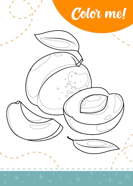 Coloring page for kids with apricot fruit