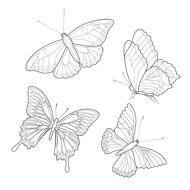 Coloring page or lineart realistic Butterflies