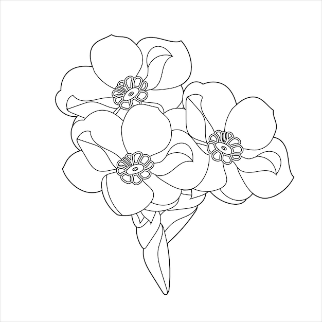 coloring page of magnolia