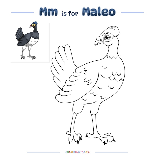 색칠 공부 페이지 Maleo 새 만화