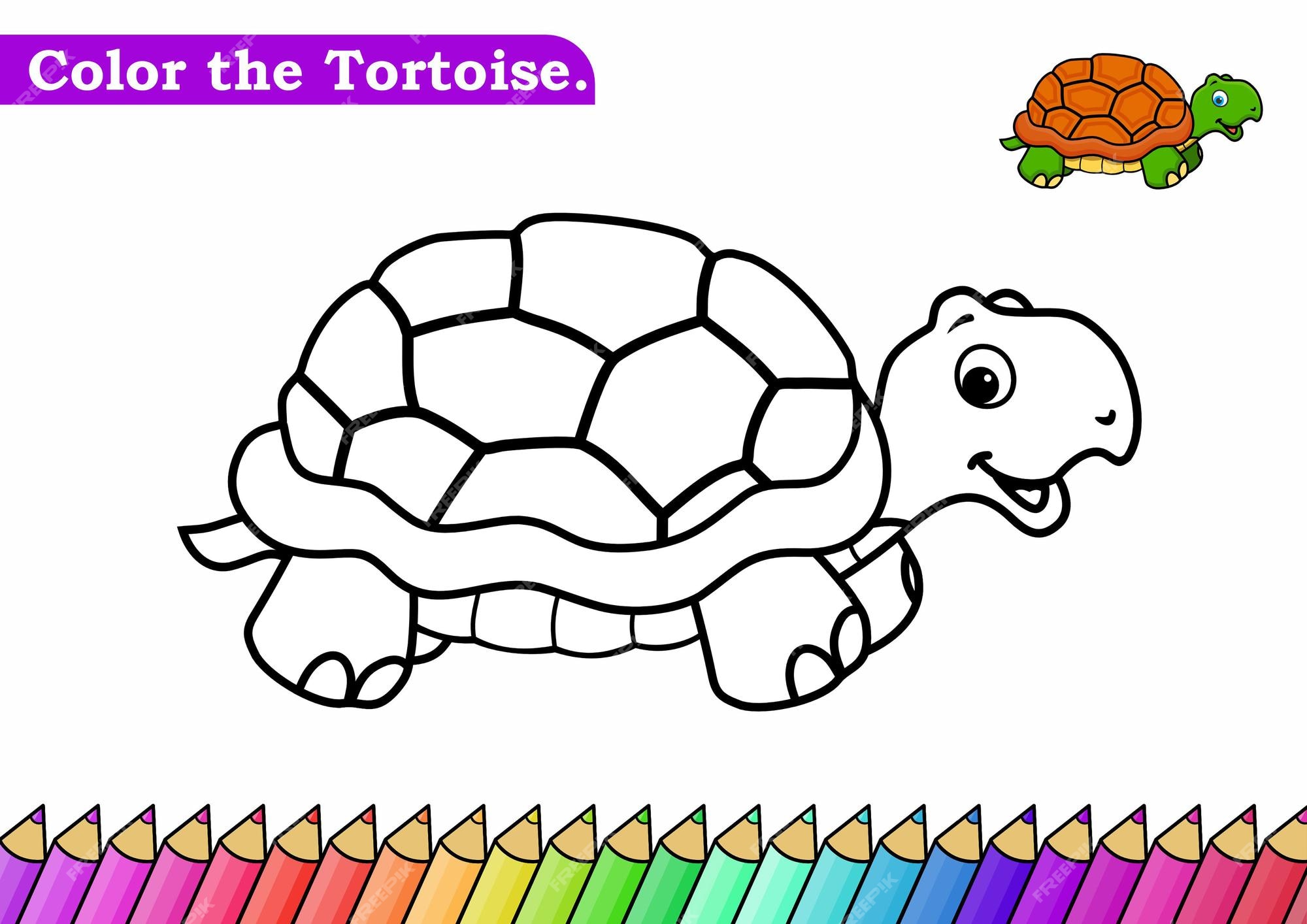 Premium Vector | Coloring page for tortoise vector illustration  kindergarten coloring pages activity worksheet