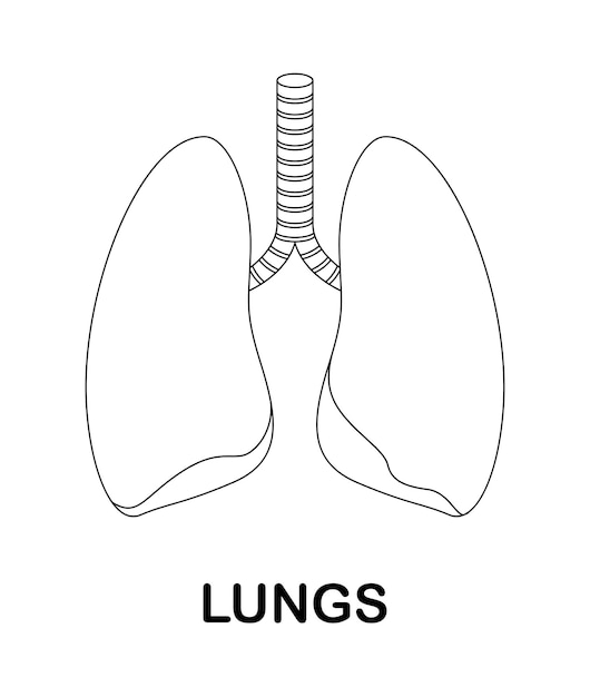 Coloring page with Lungs for kids