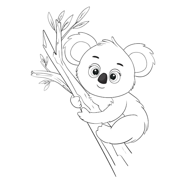 Vector coloring pages or books for kids cute koala cartoon vector illustration