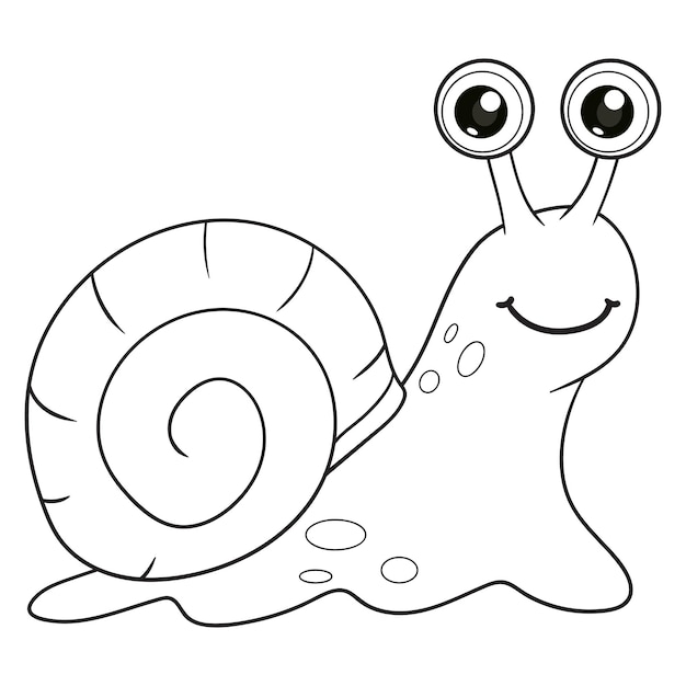 Vector coloring pages or books for kids cute snail cartoon black and white