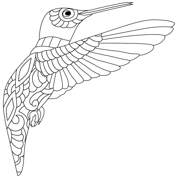 Coloring picture of cute hummingbird handdrawn line art illustration