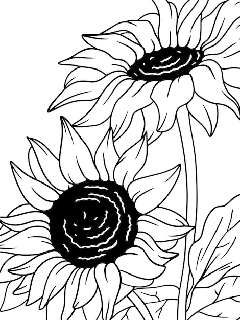 Vector coloring sunflower plant flower outline page outline of cartoon