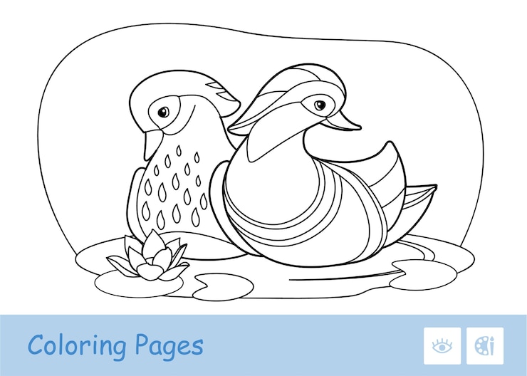 Vector colorless contour ducks illustration floating on a forest river isolated on white background. birds-related preschool kids coloring book illustrations and developmental activity.