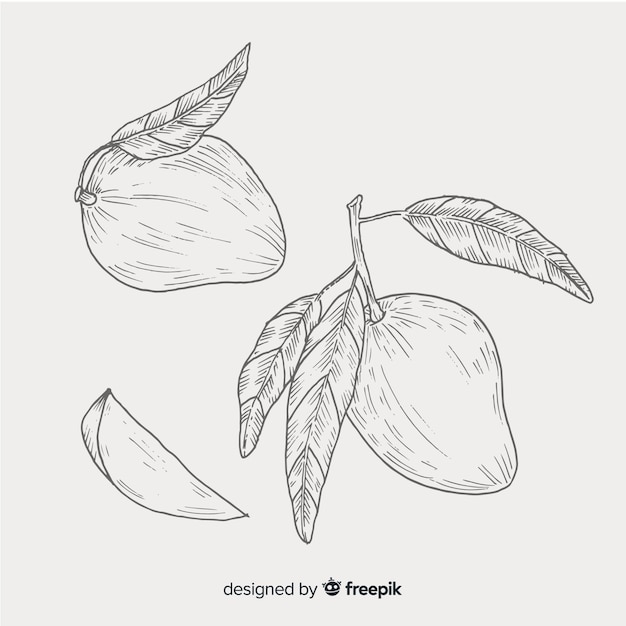 Colorless hand drawn mango background