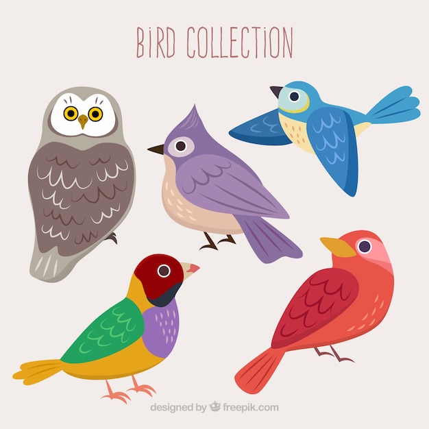 Colors birds collection