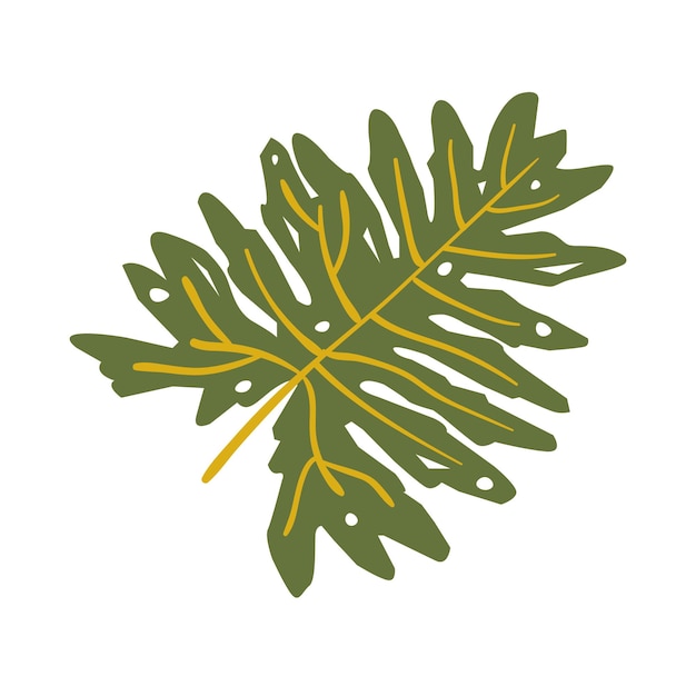 Vector colour leaf